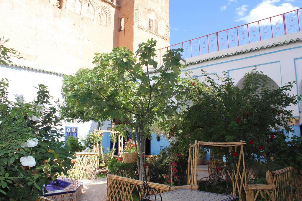Escale Rando Taliouine Hotel Ngoại thất bức ảnh