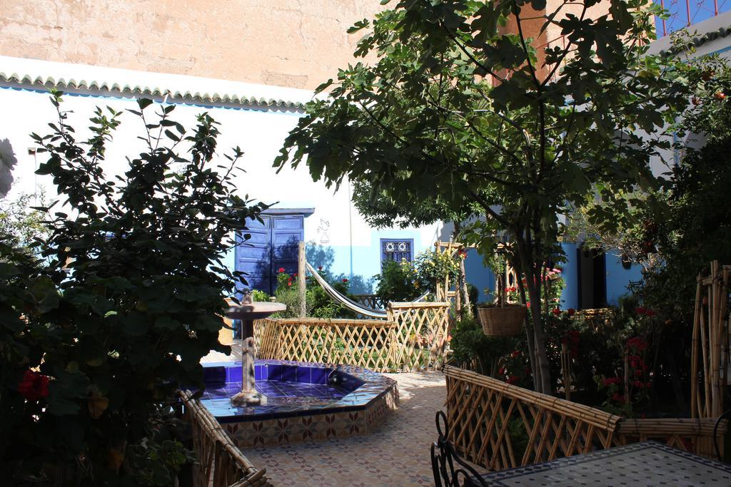 Escale Rando Taliouine Hotel Ngoại thất bức ảnh